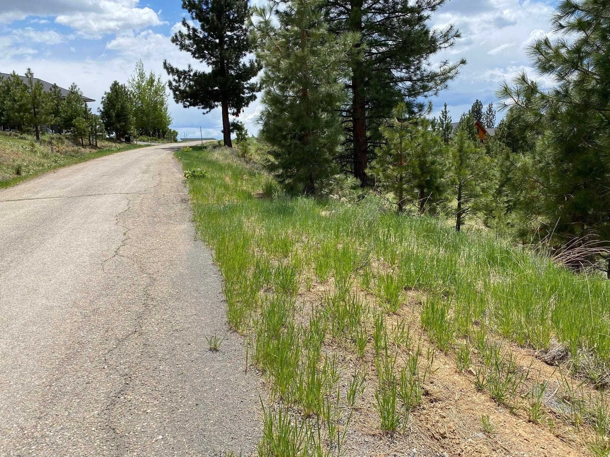 1 acres in Plumas County, California