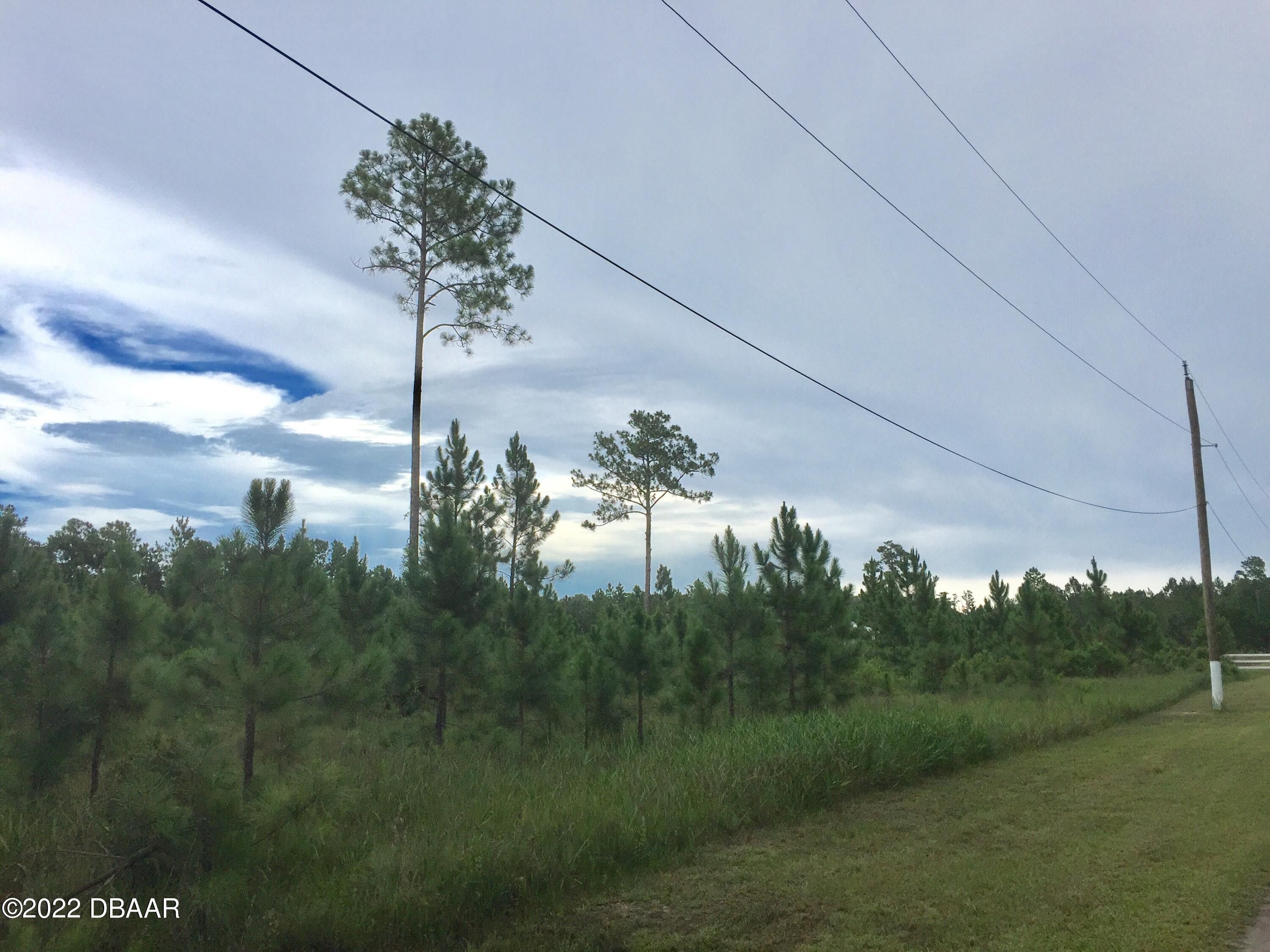 5 acres in Flagler County, Florida