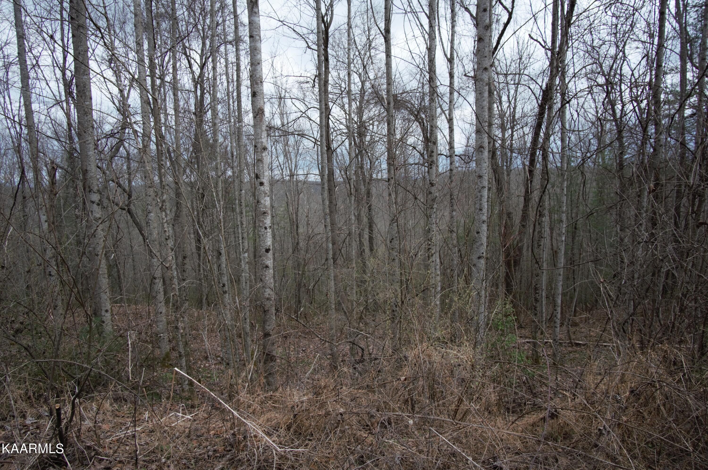 5 acres in County, Tennessee