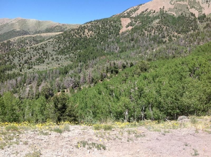 25 acres in Torrey, UT, 84775 MLS 1794064