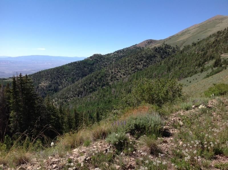 63 acres in Torrey, UT, 84775 MLS 1794062