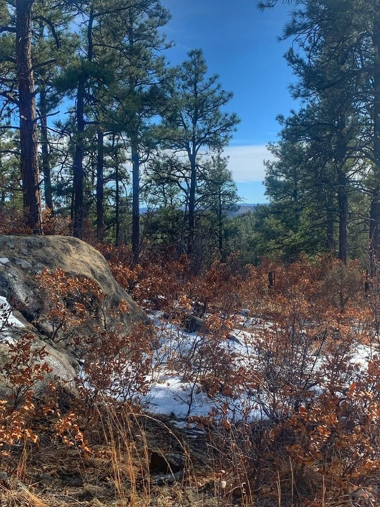 5 acres in Las Animas County, Colorado
