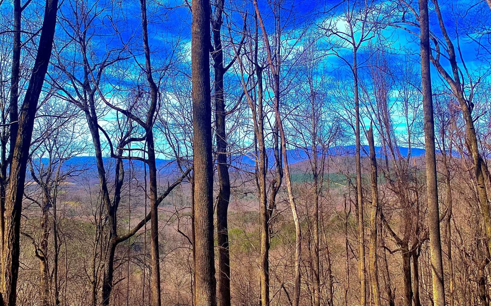 40 acres in Gilmer County,