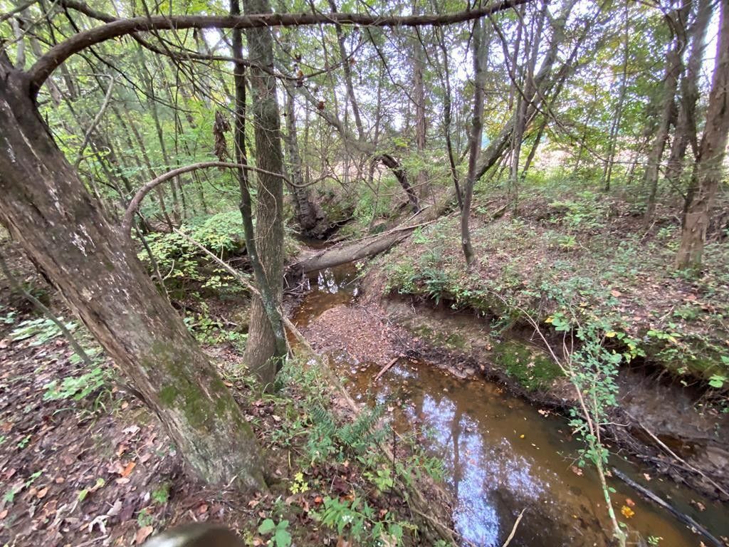 40 acres in Benton County, Tennessee