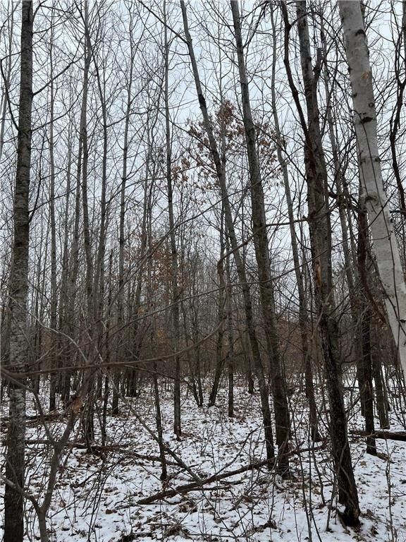 10 acres in County, Wisconsin