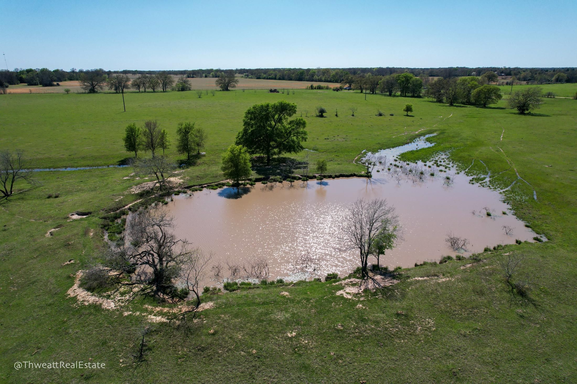 50 acres in Milam County, Texas
