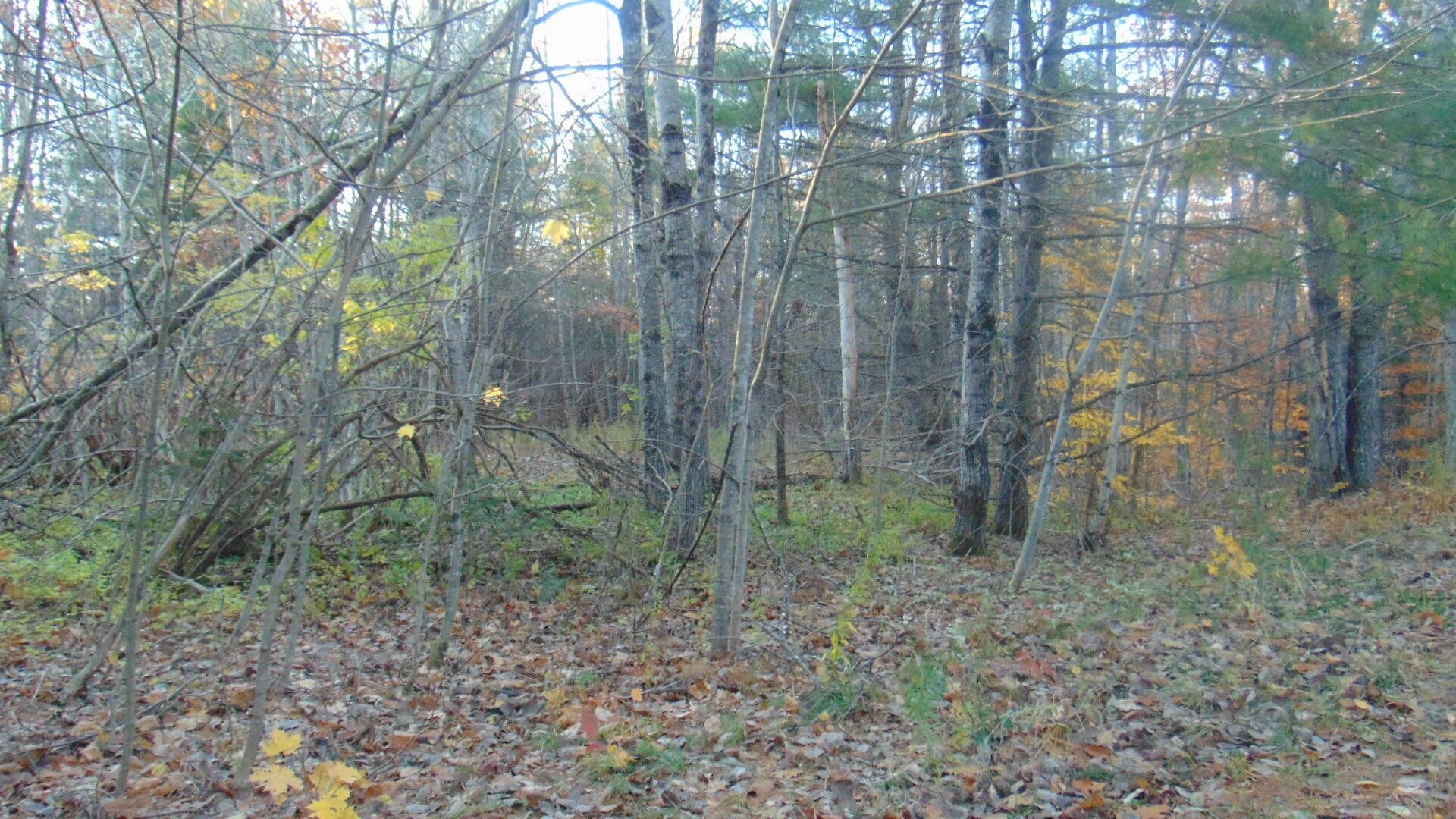 5.3 acres in Penobscot County, Maine