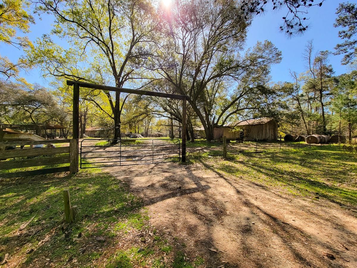 282.19 acres in San Jacinto County, Texas