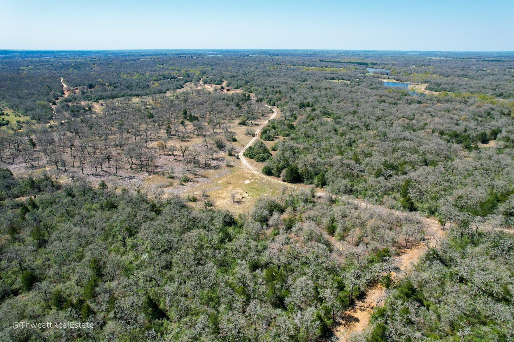 203 acres in Burleson County, Texas