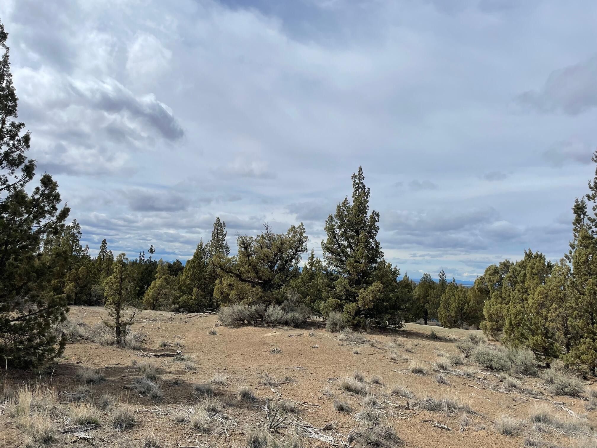 10 acres in Crook County, Oregon