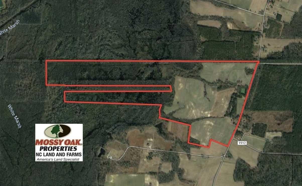 350 acres in Columbus County, North Carolina