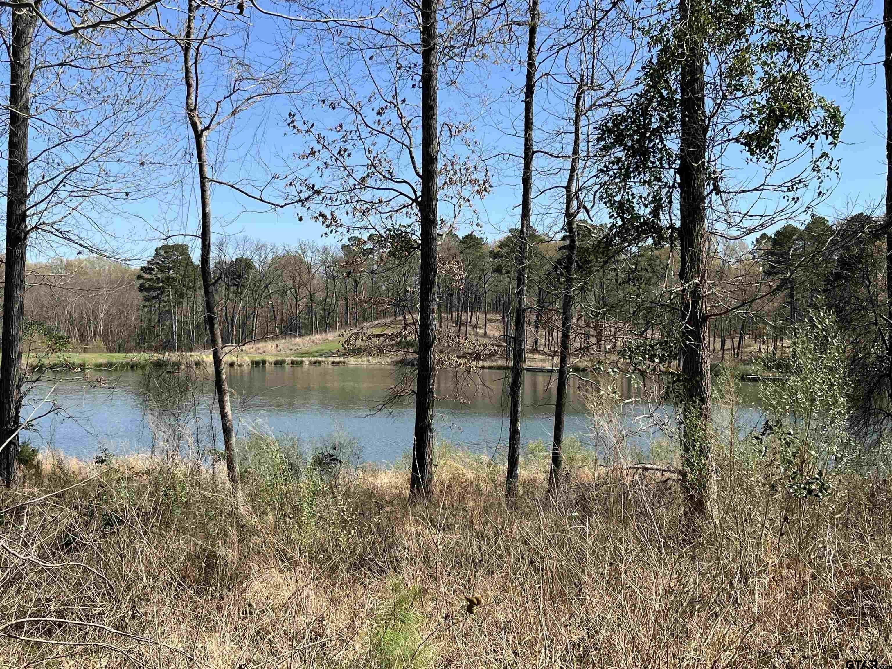 1.06 acres in Camp County, Texas