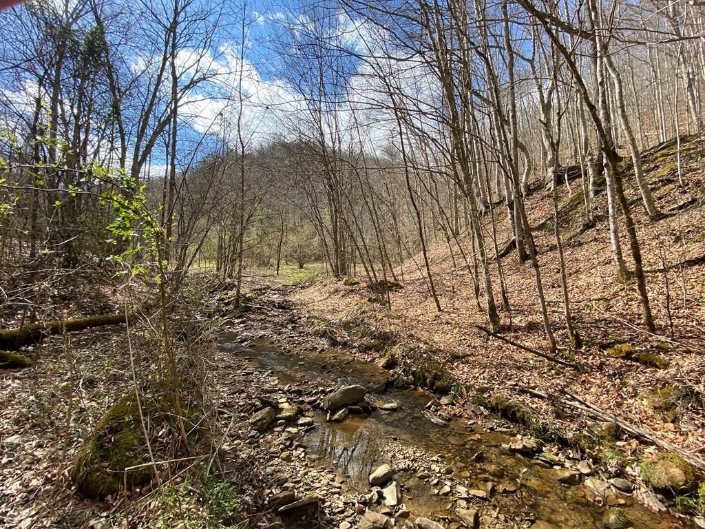 80 acres in Knott County, Kentucky