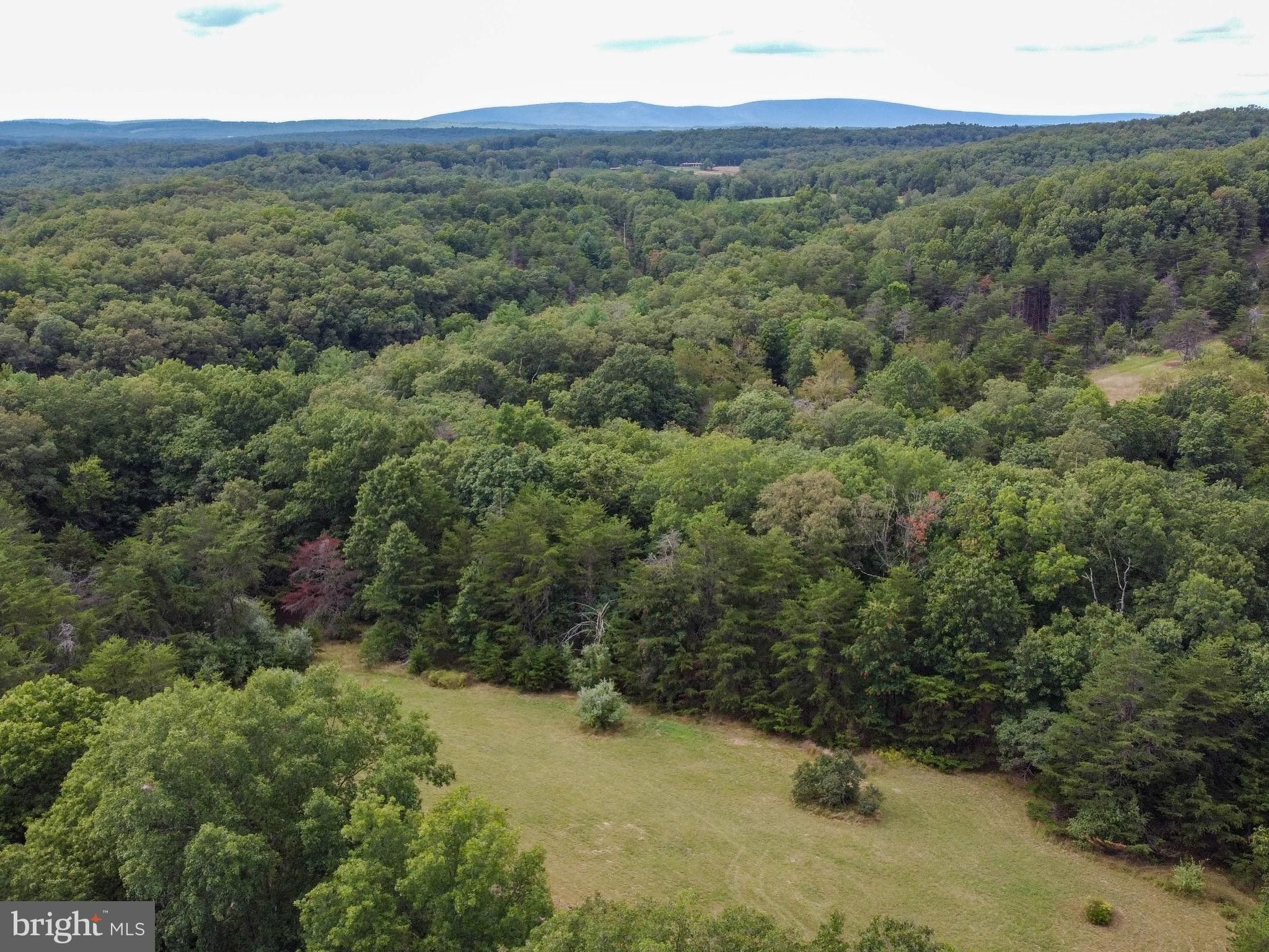 10 acres in Frederick County, Virginia