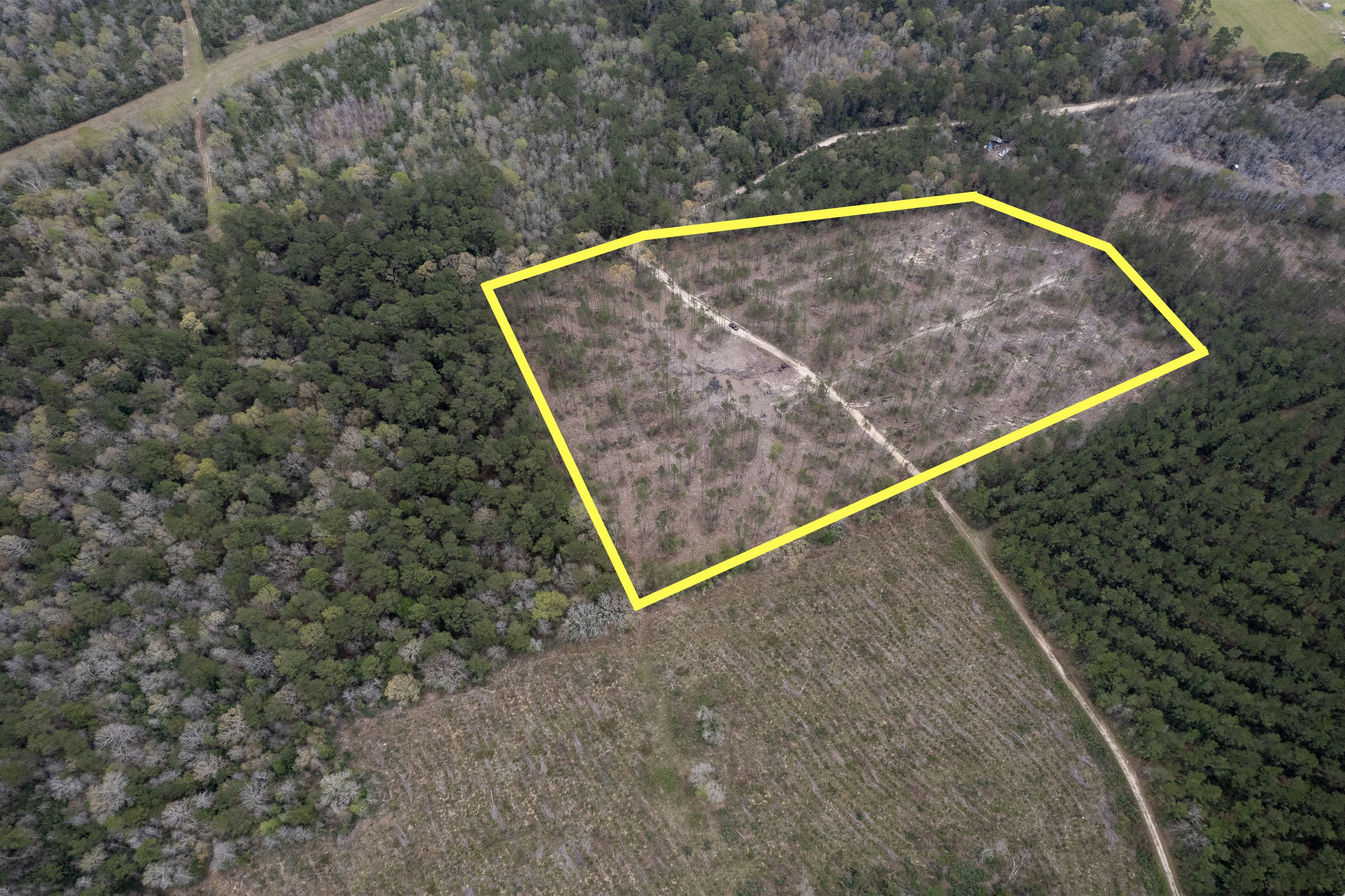 22.83 acres in Tyler County, Texas