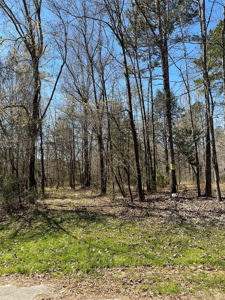 31 acres in Abbeville County, South Carolina