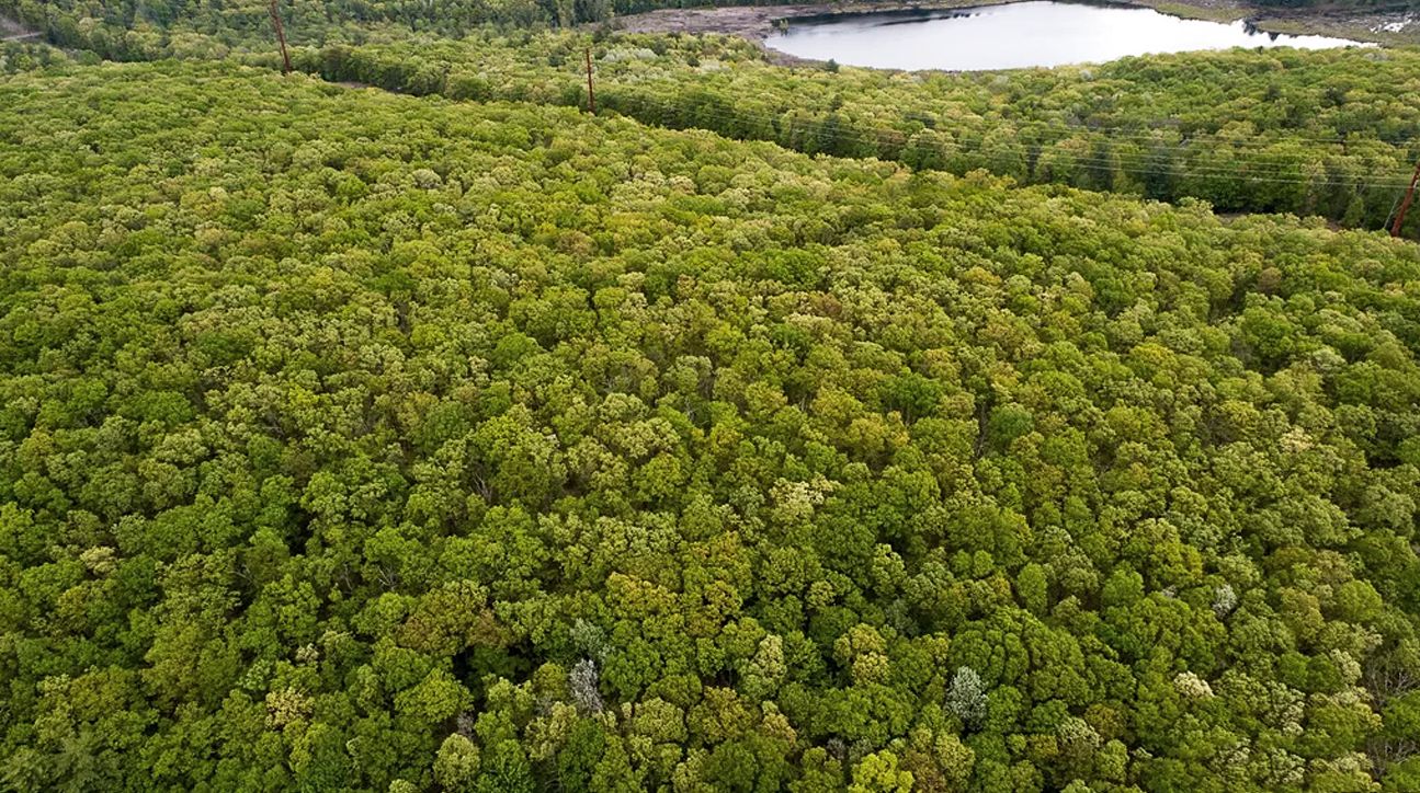 1.26 acres in Wayne County, Pennsylvania