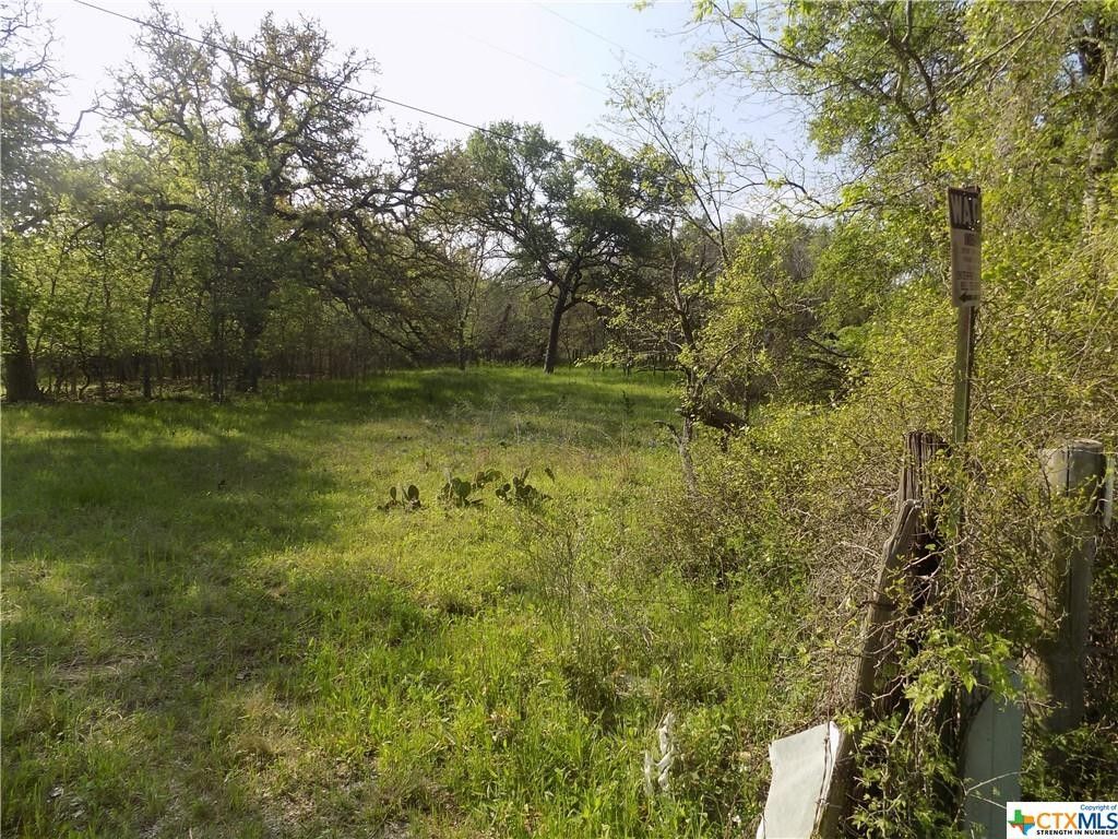 5 acres in Milam County, Texas