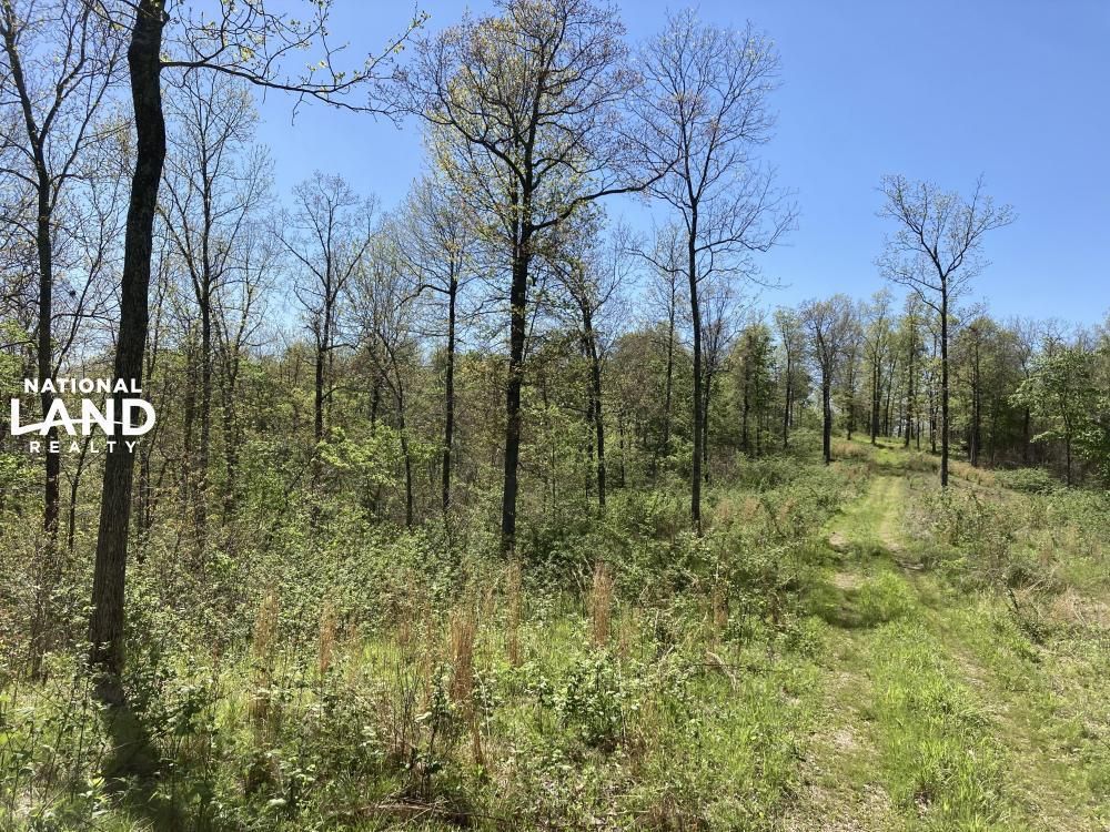 240 acres in Reynolds County, Missouri