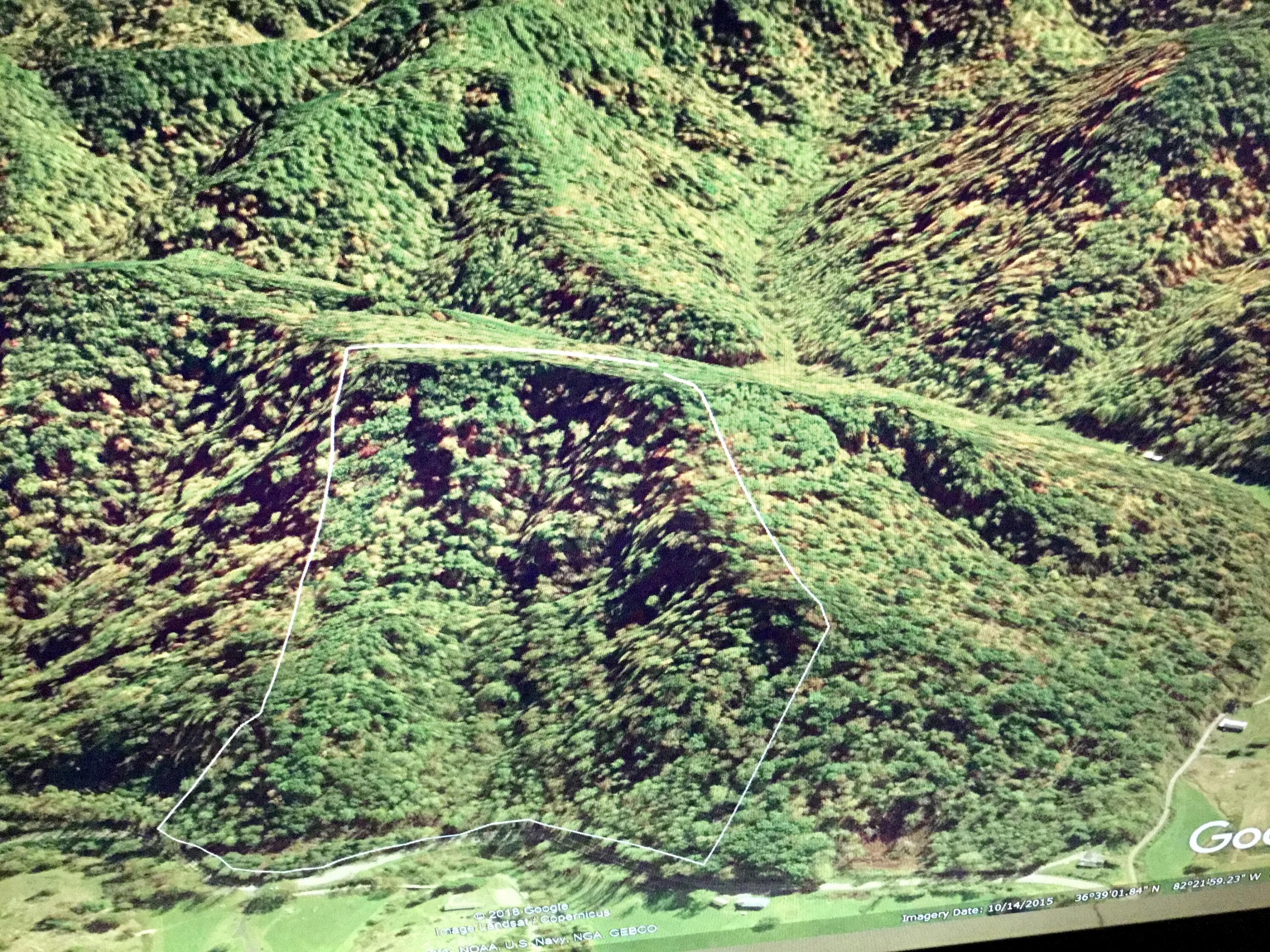 42 acres in Scott County, Virginia