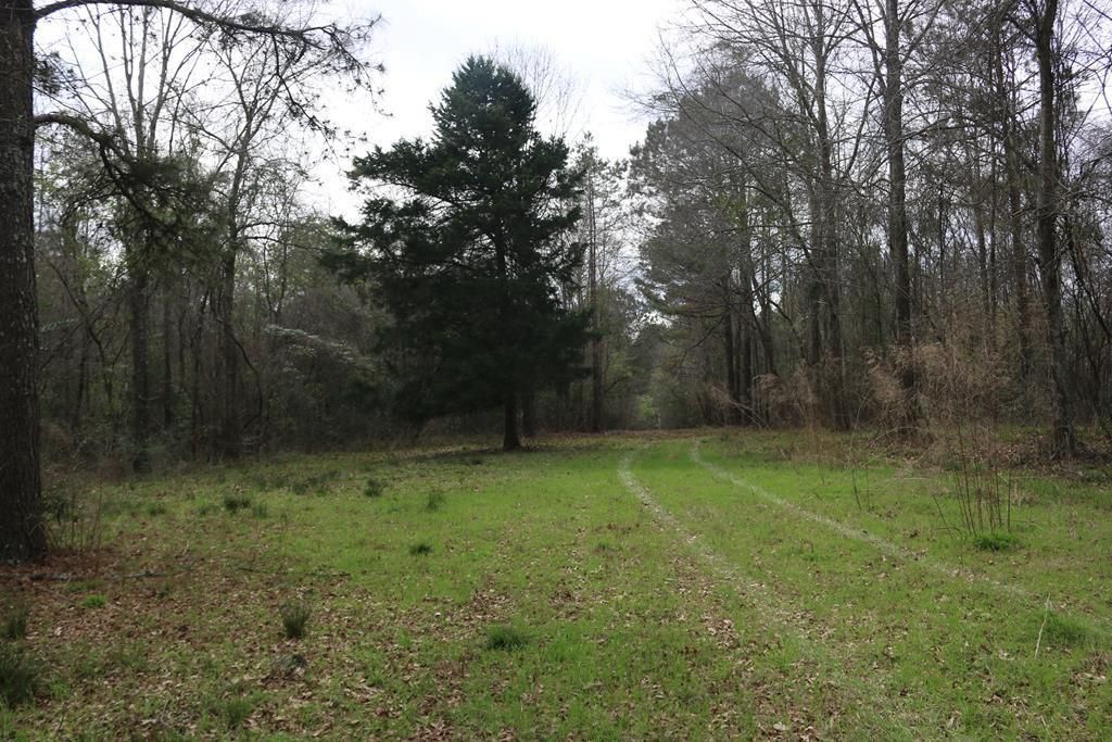 70 acres in Jasper County, Mississippi