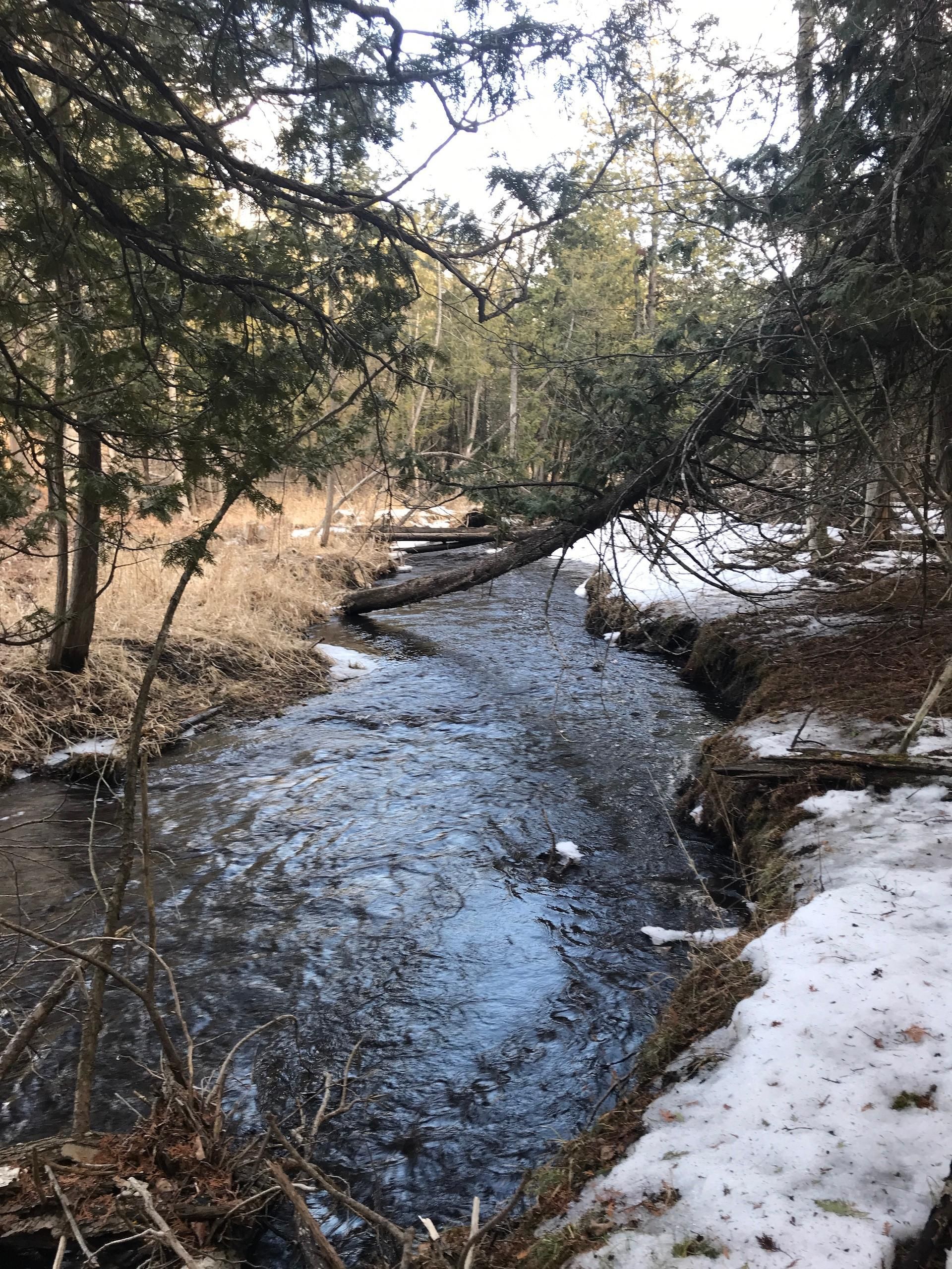 65 acres in Gladwin County, Michigan