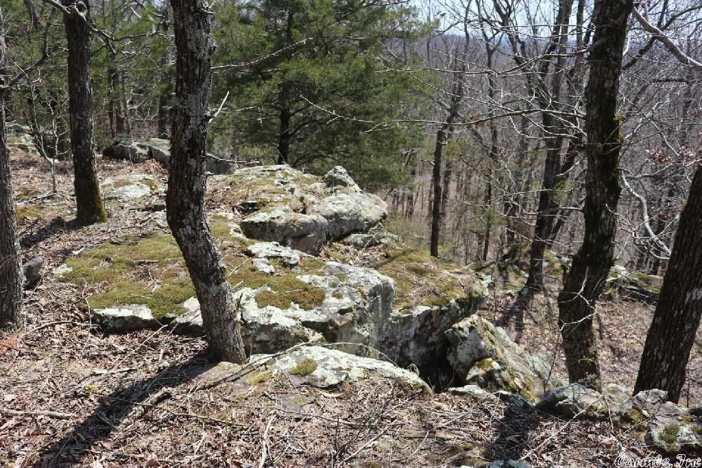 40 acres in Stone County, Arkansas