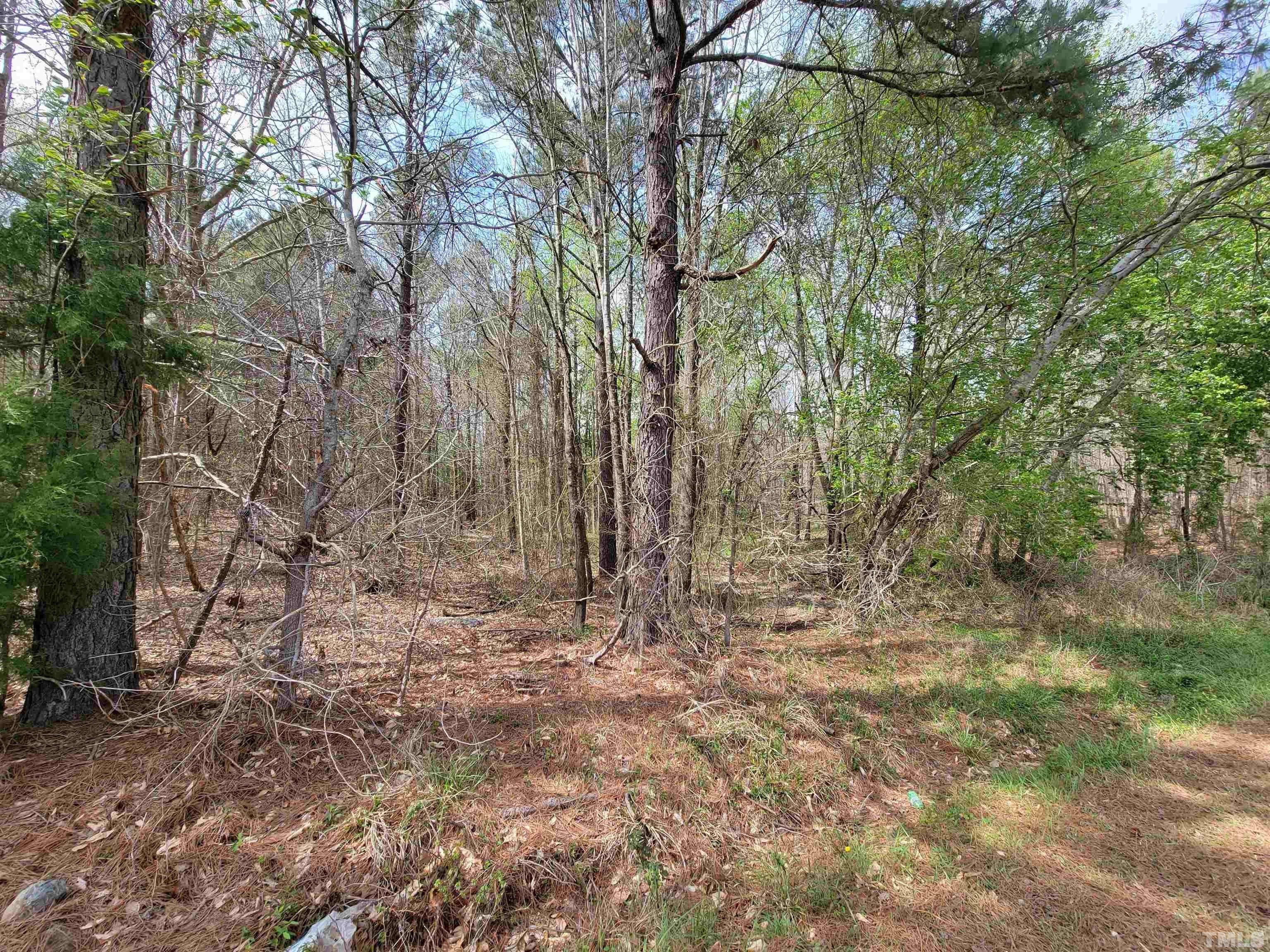 20 acres in Chatham County, North Carolina