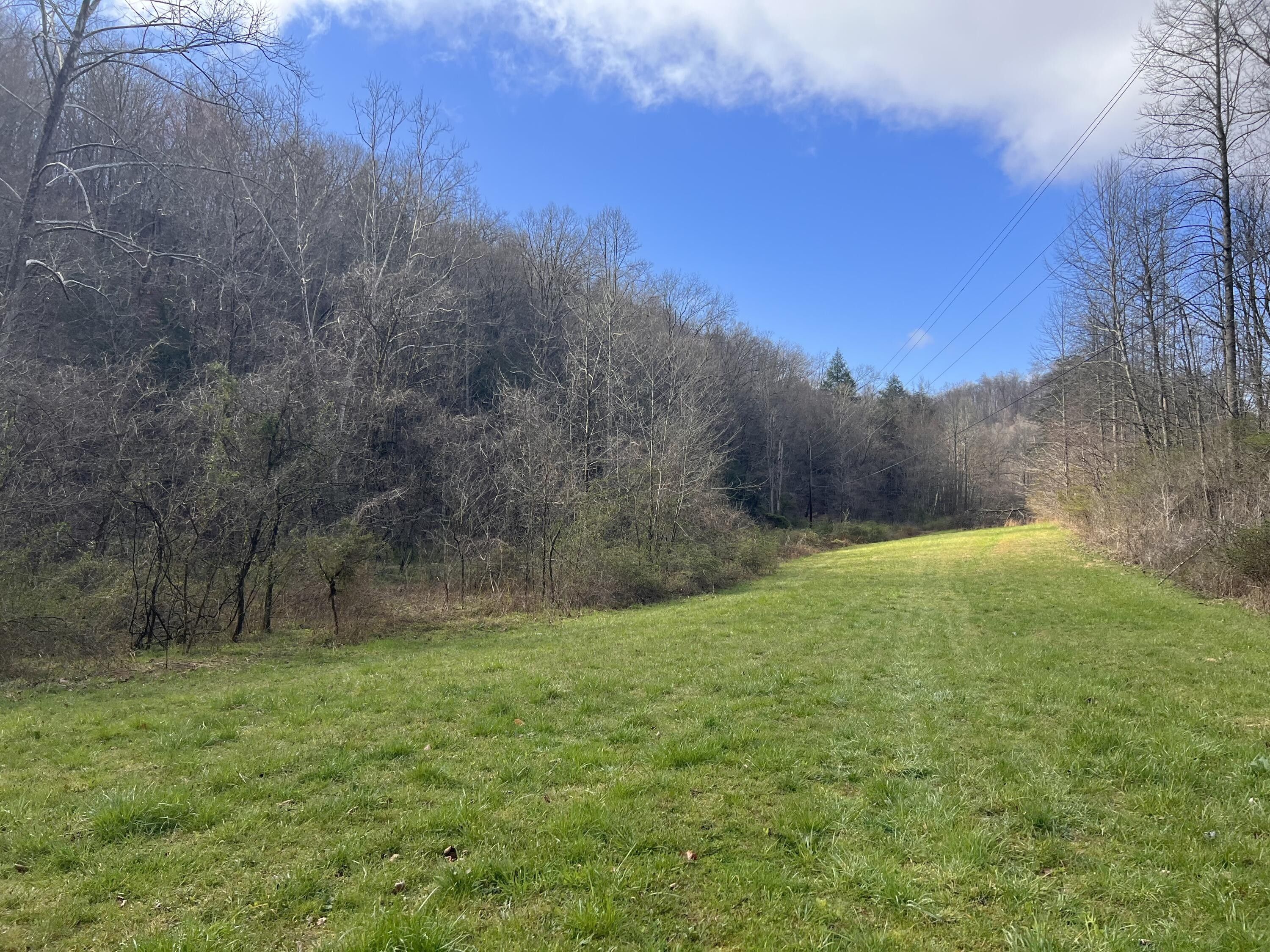 20 acres in County, Kentucky