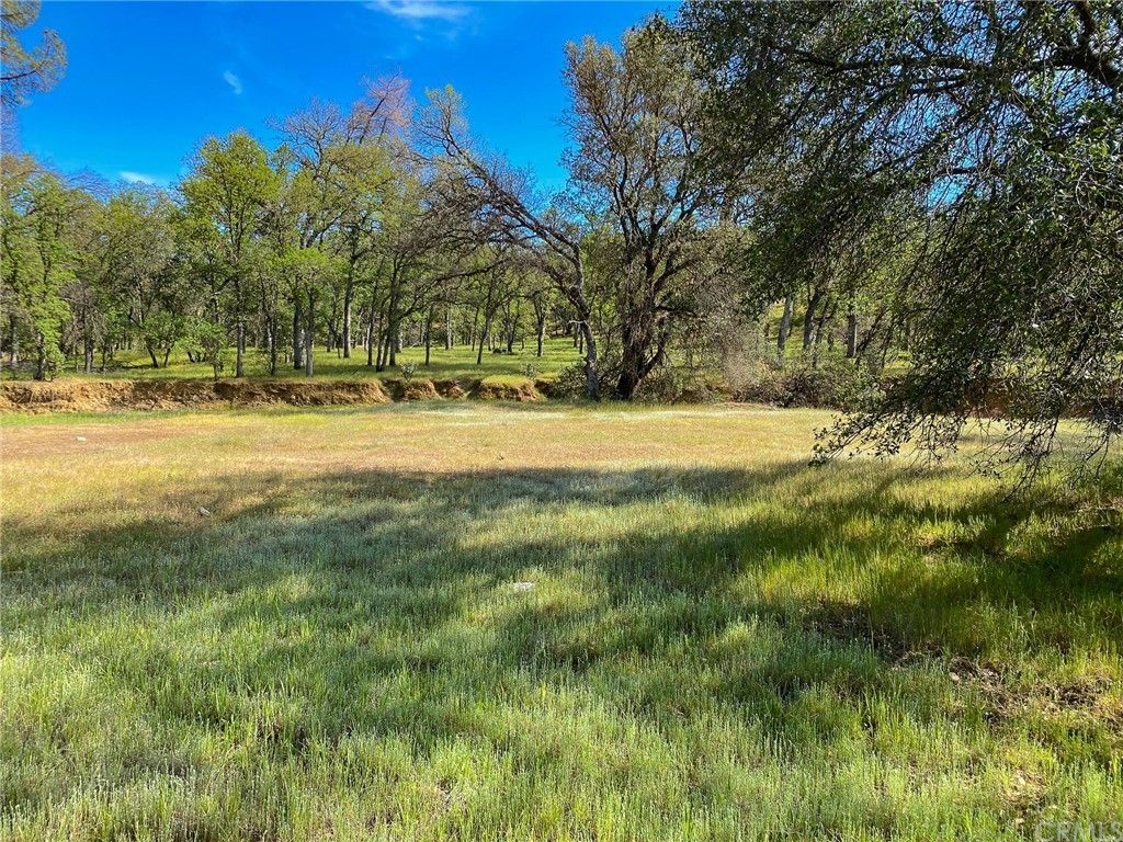 142.04 acres in Tehama County, California