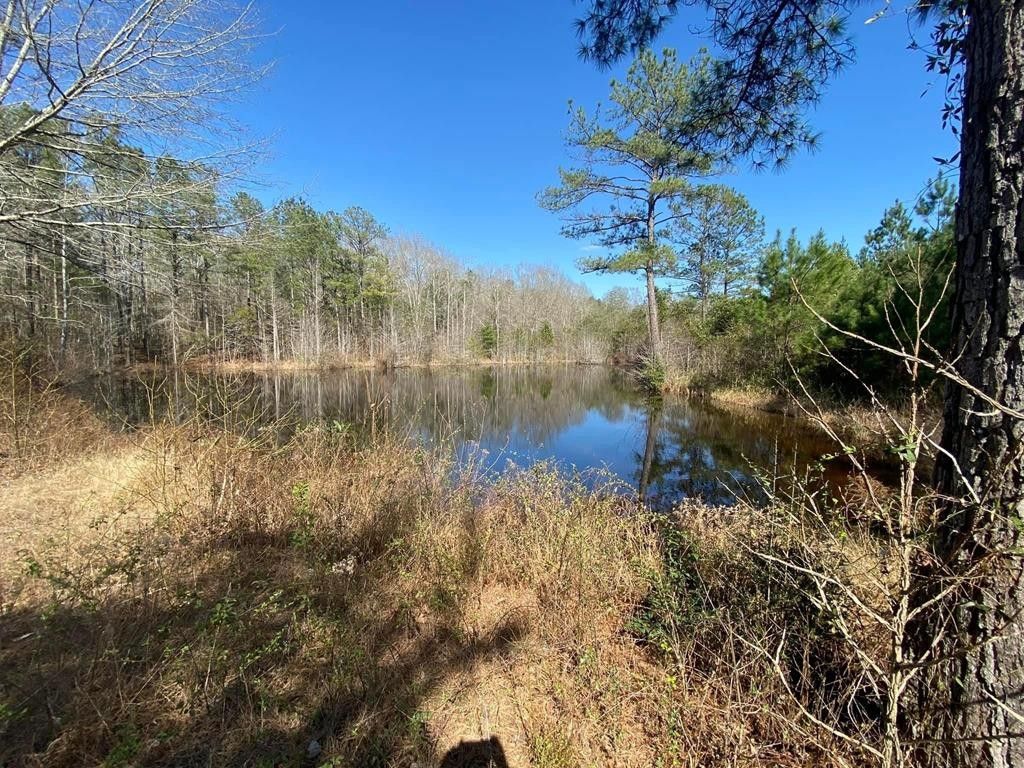 27.3 acres in Crenshaw County, Alabama