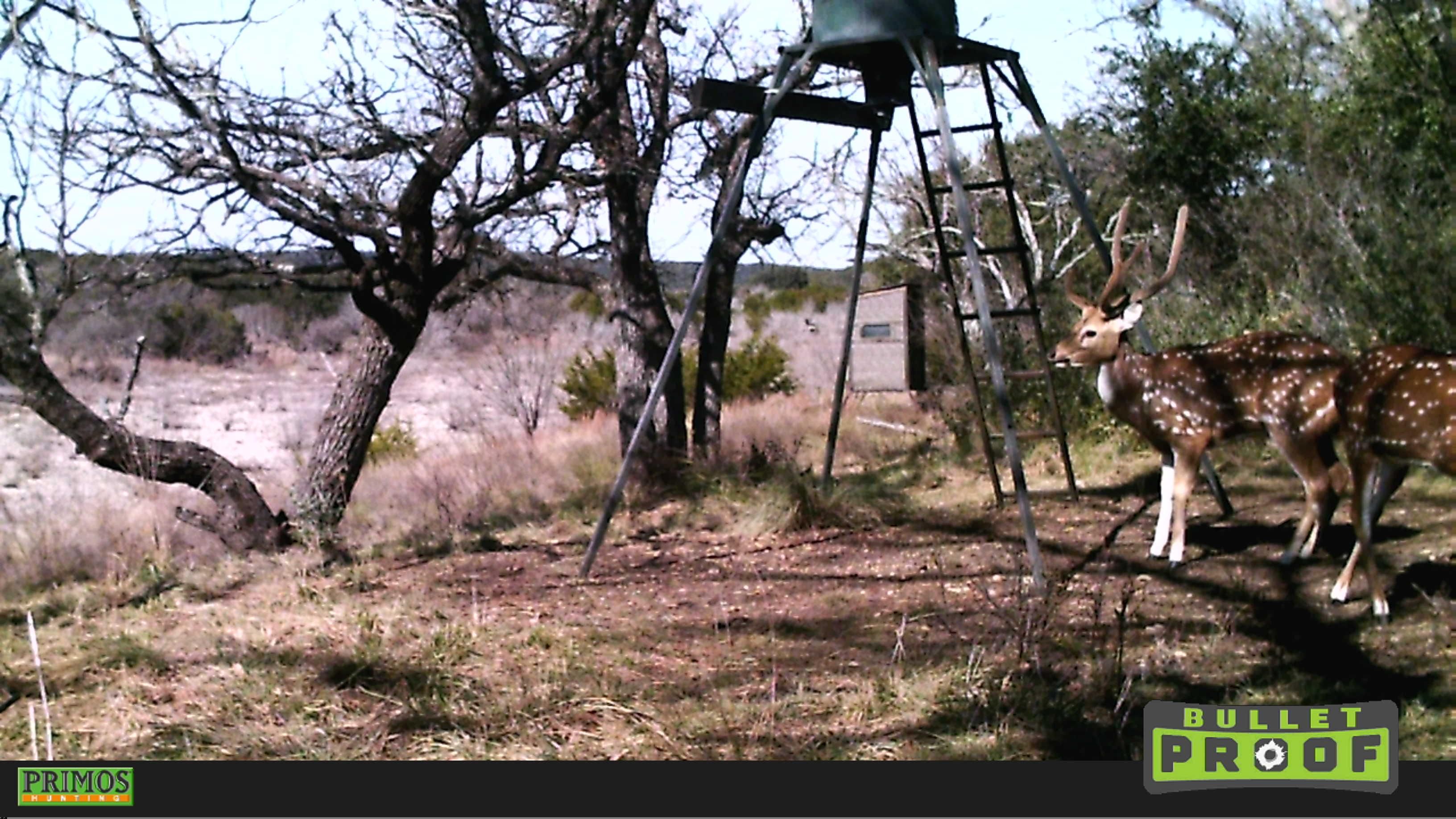 67.4 acres in Edwards County, Texas