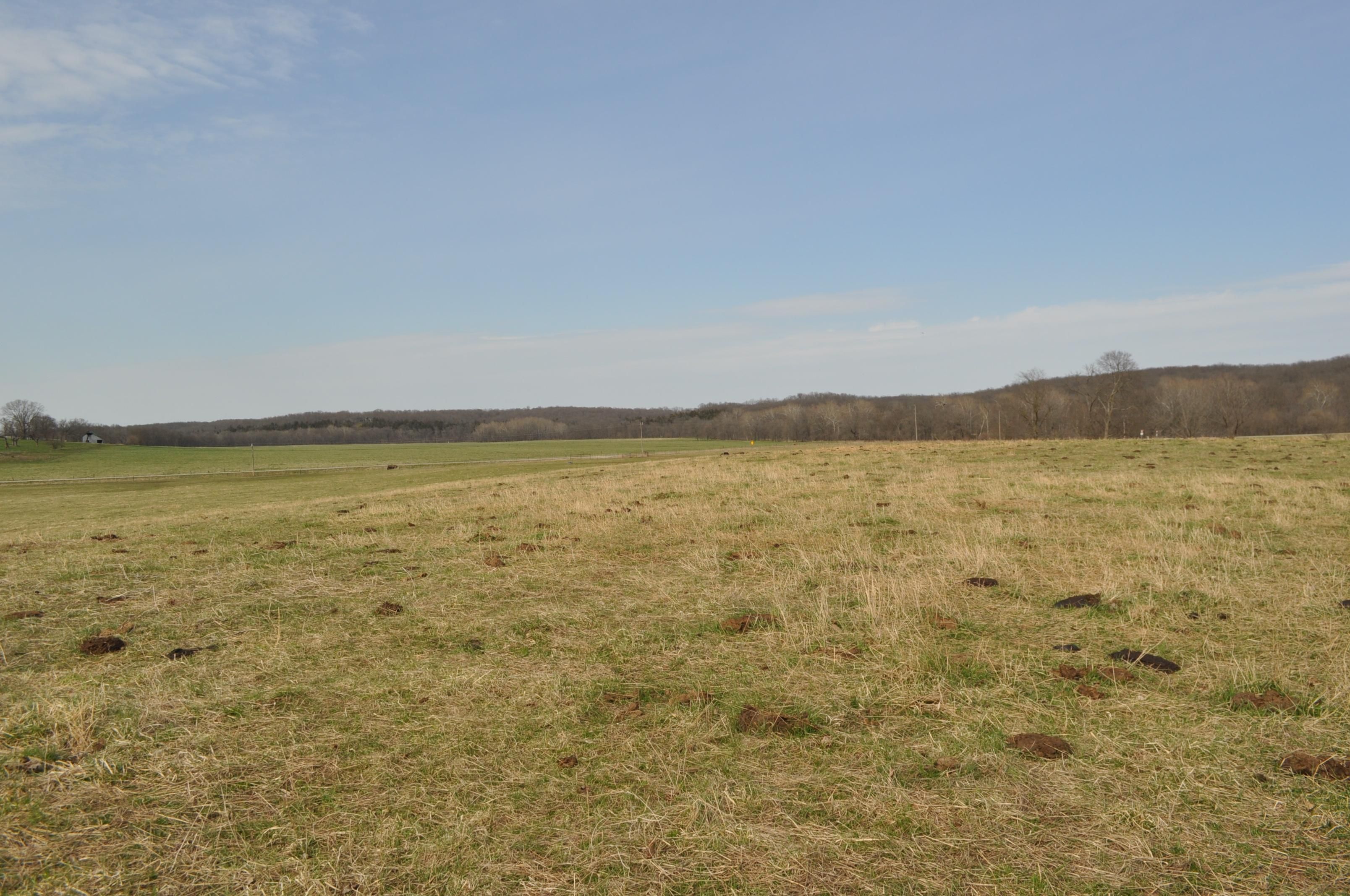 153 acres in Cedar County, Missouri