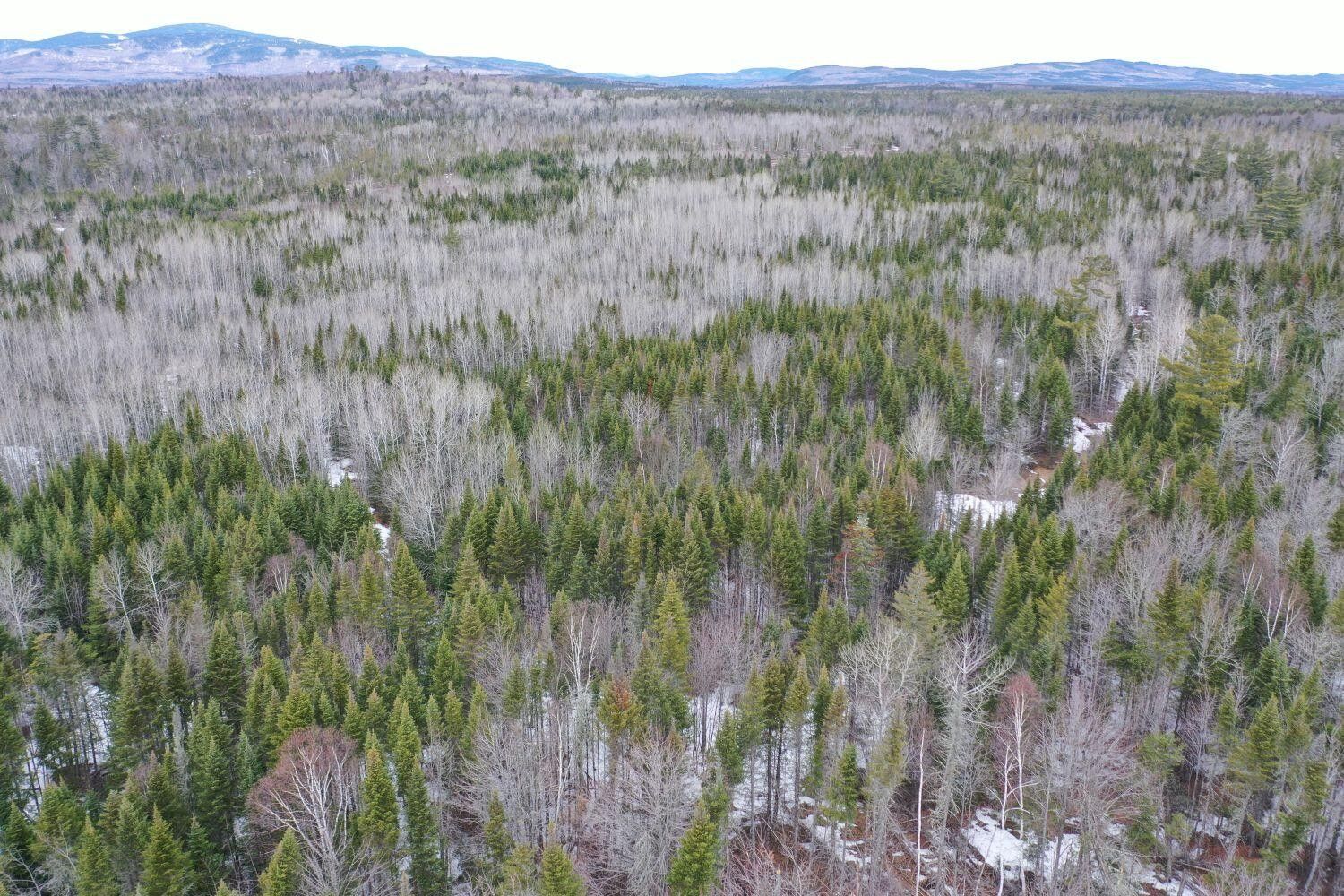 93 acres in Somerset County, Maine