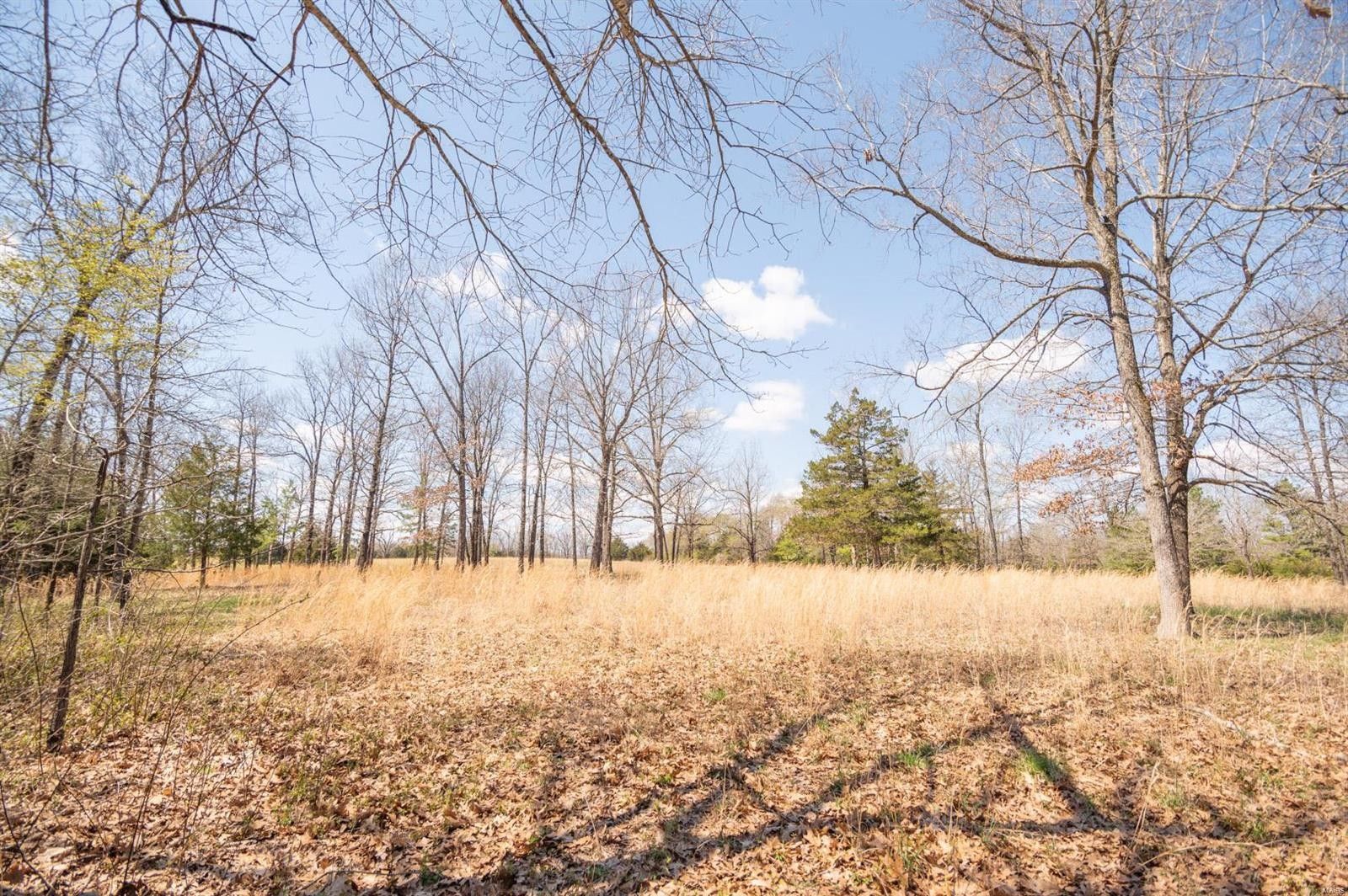 10.5 acres in Butler County, Missouri