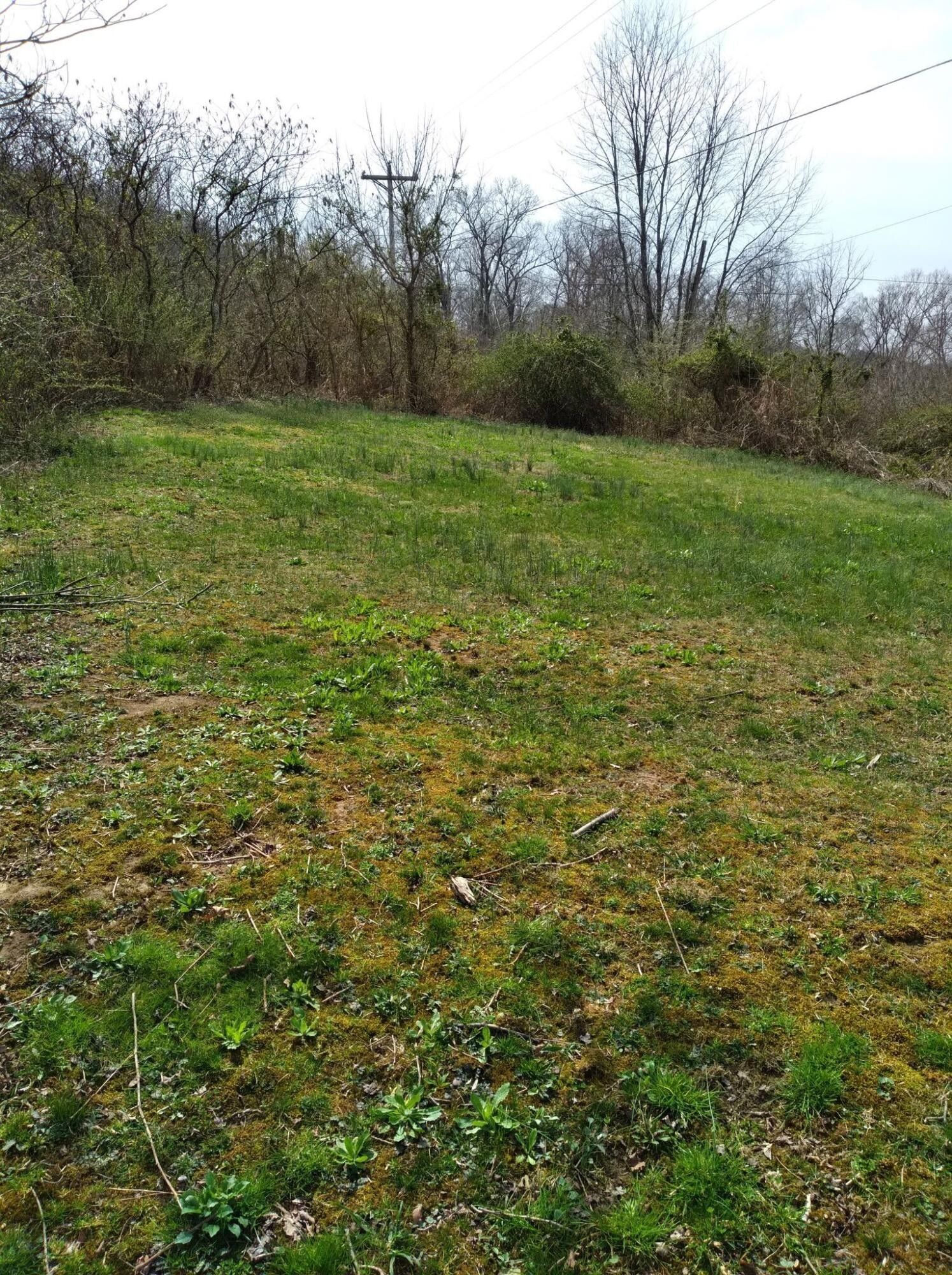 85.68 acres in Owsley County, Kentucky