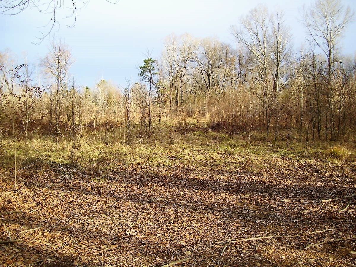 40 acres in Little River County, Arkansas