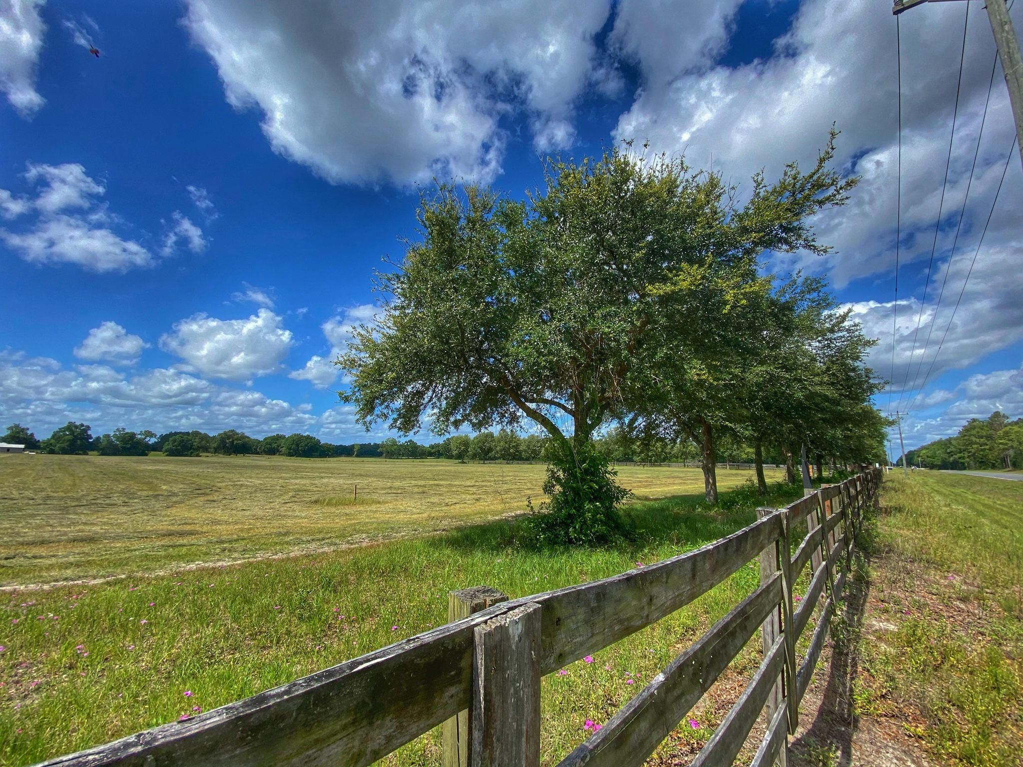 5 acres in Gilchrist County, Florida