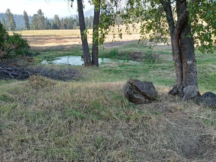 28 acres in Stevens County, Washington