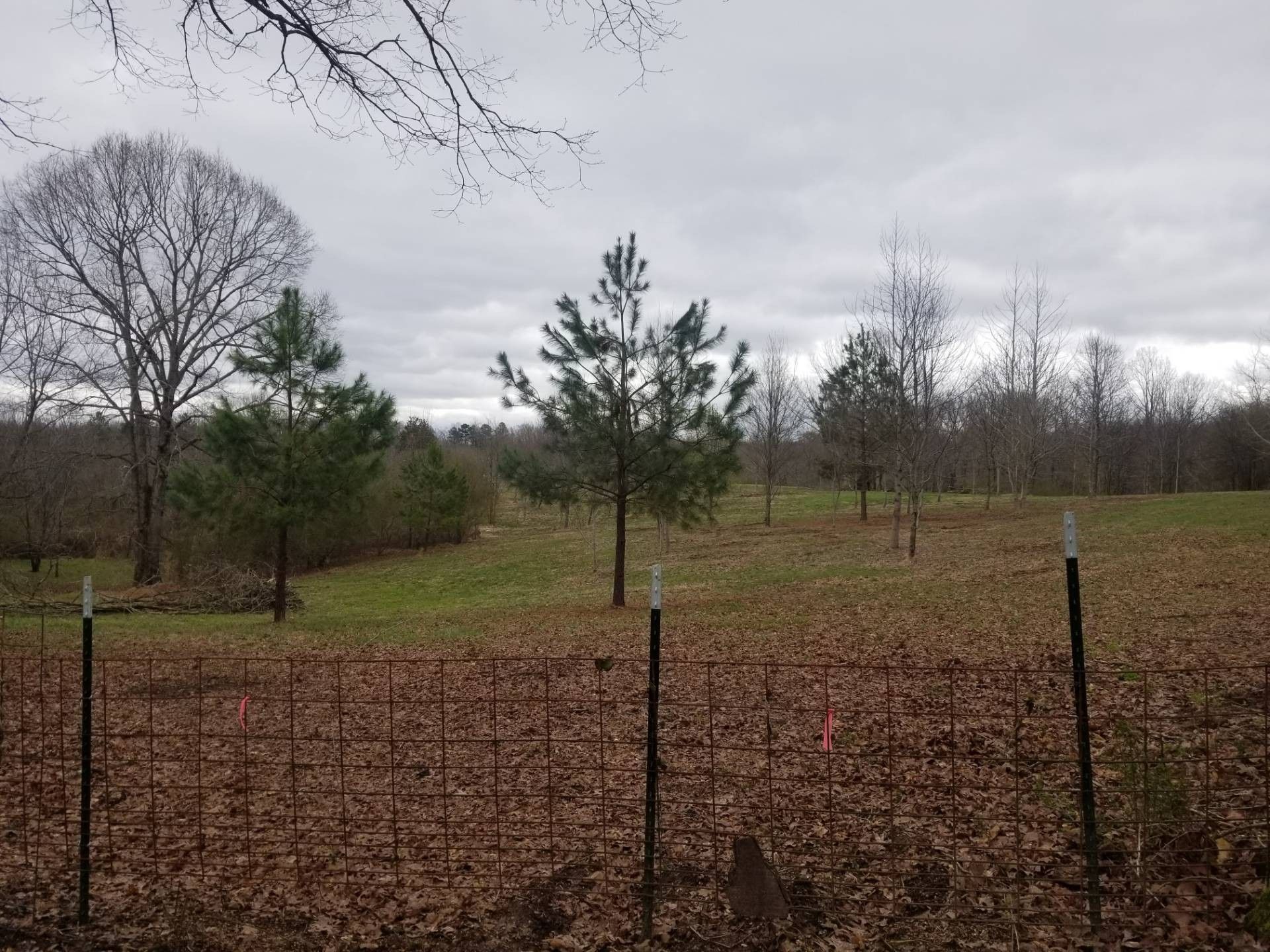 26.91 acres in Wayne County, Tennessee