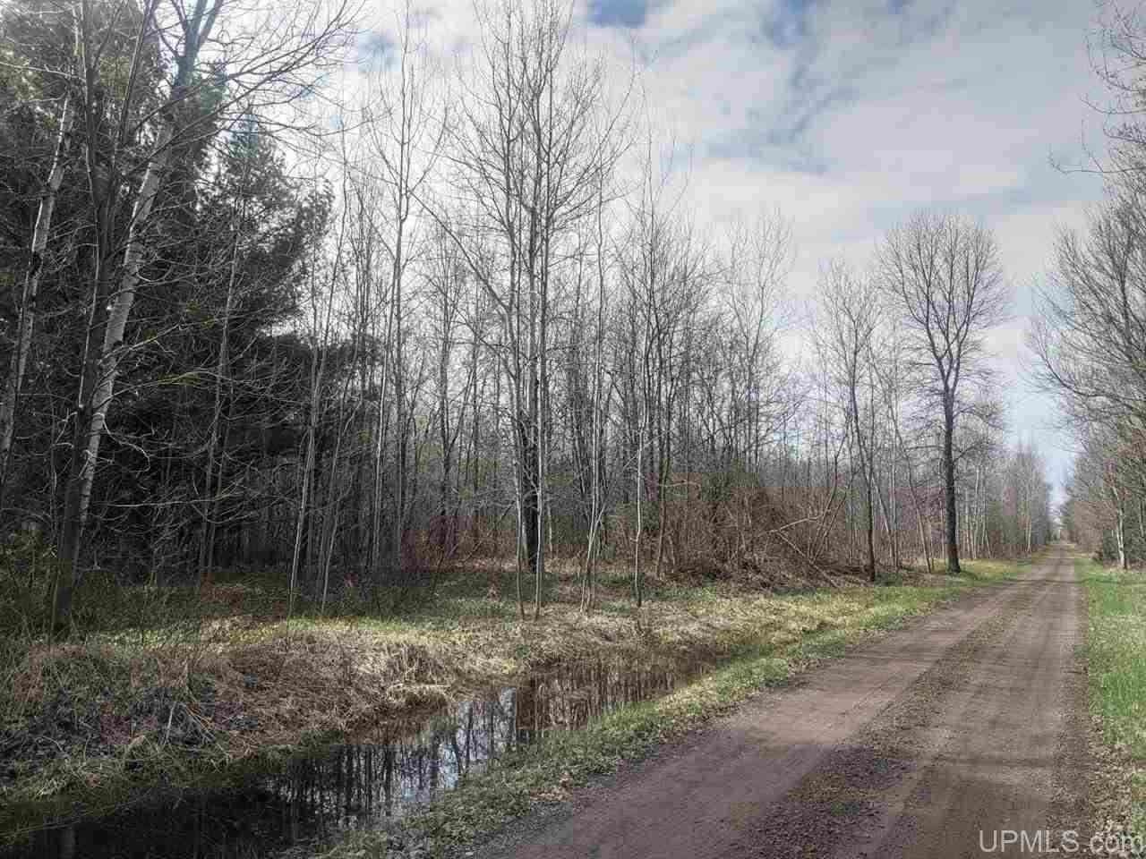 40 acres in Ontonagon County, Michigan