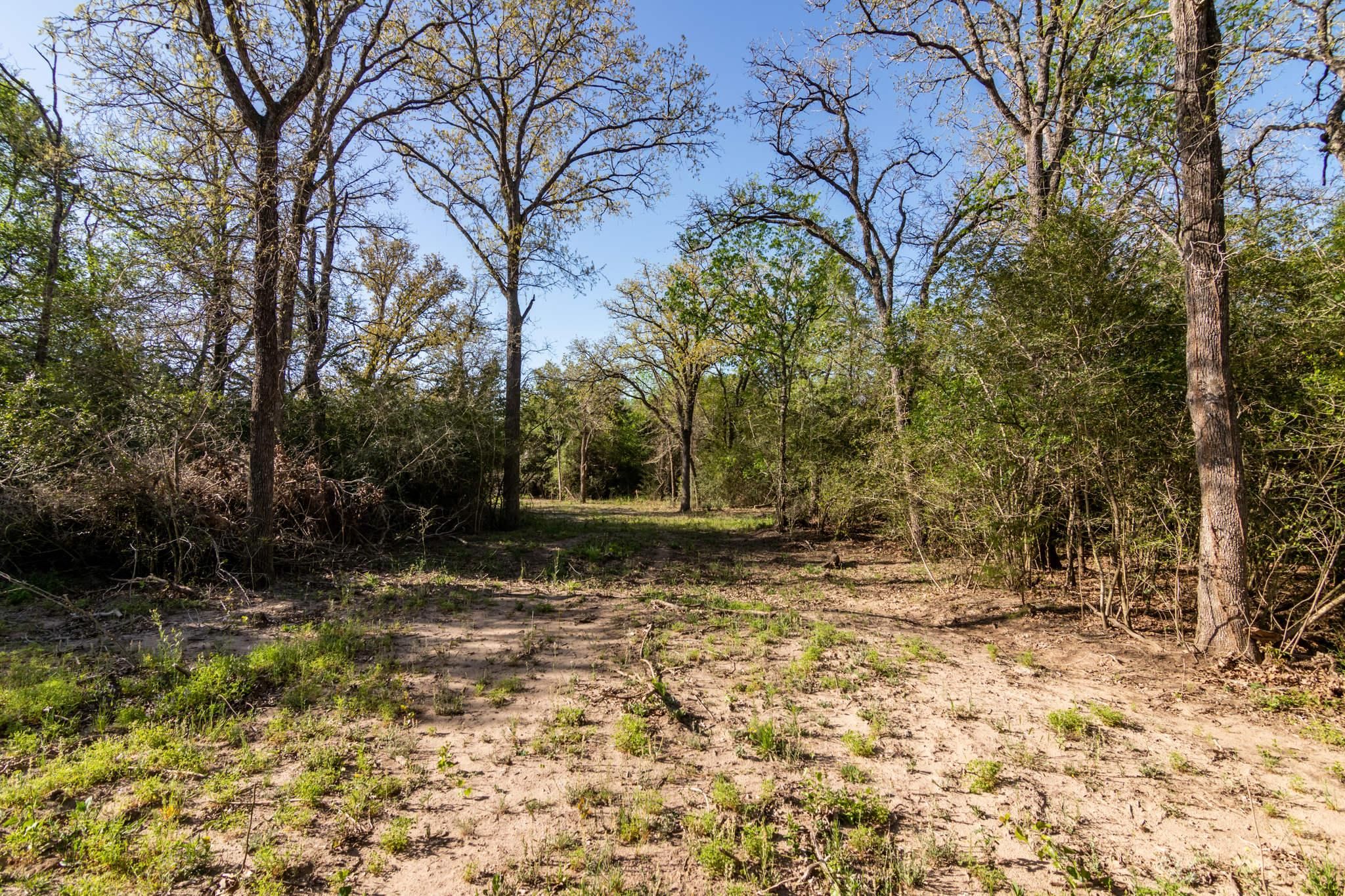 16 acres in Fayette County, Texas