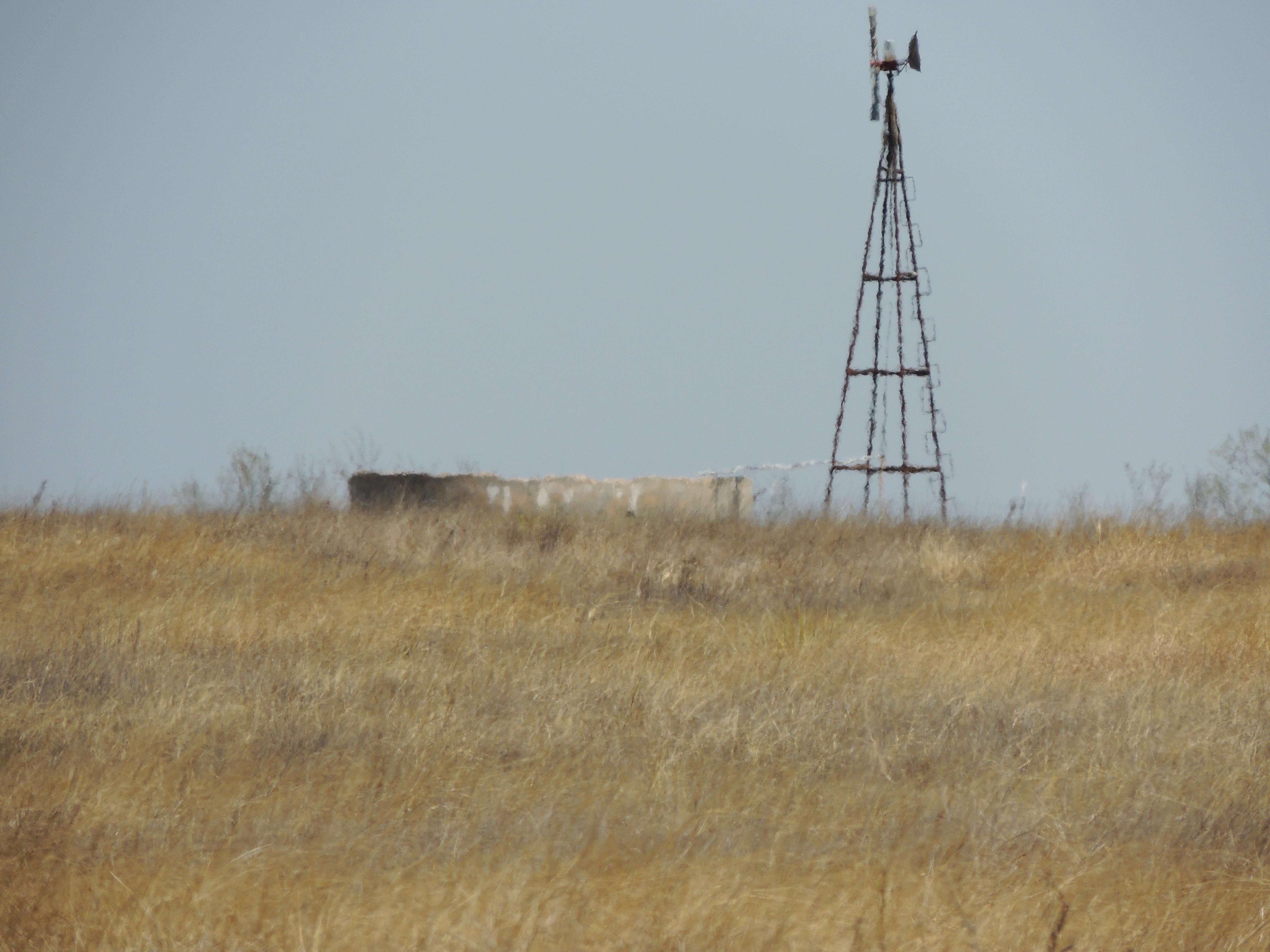 70 acres in Runnels County, Texas