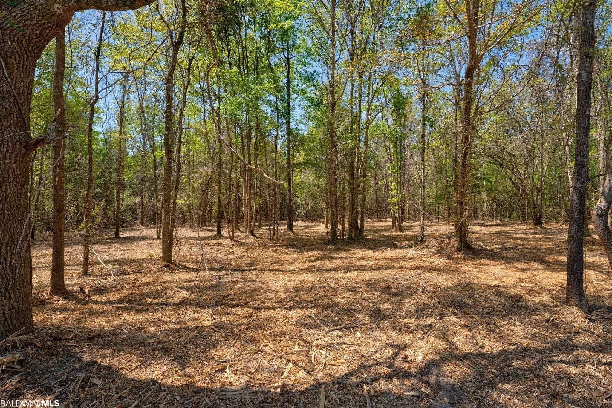 8 acres in Baldwin County, Alabama