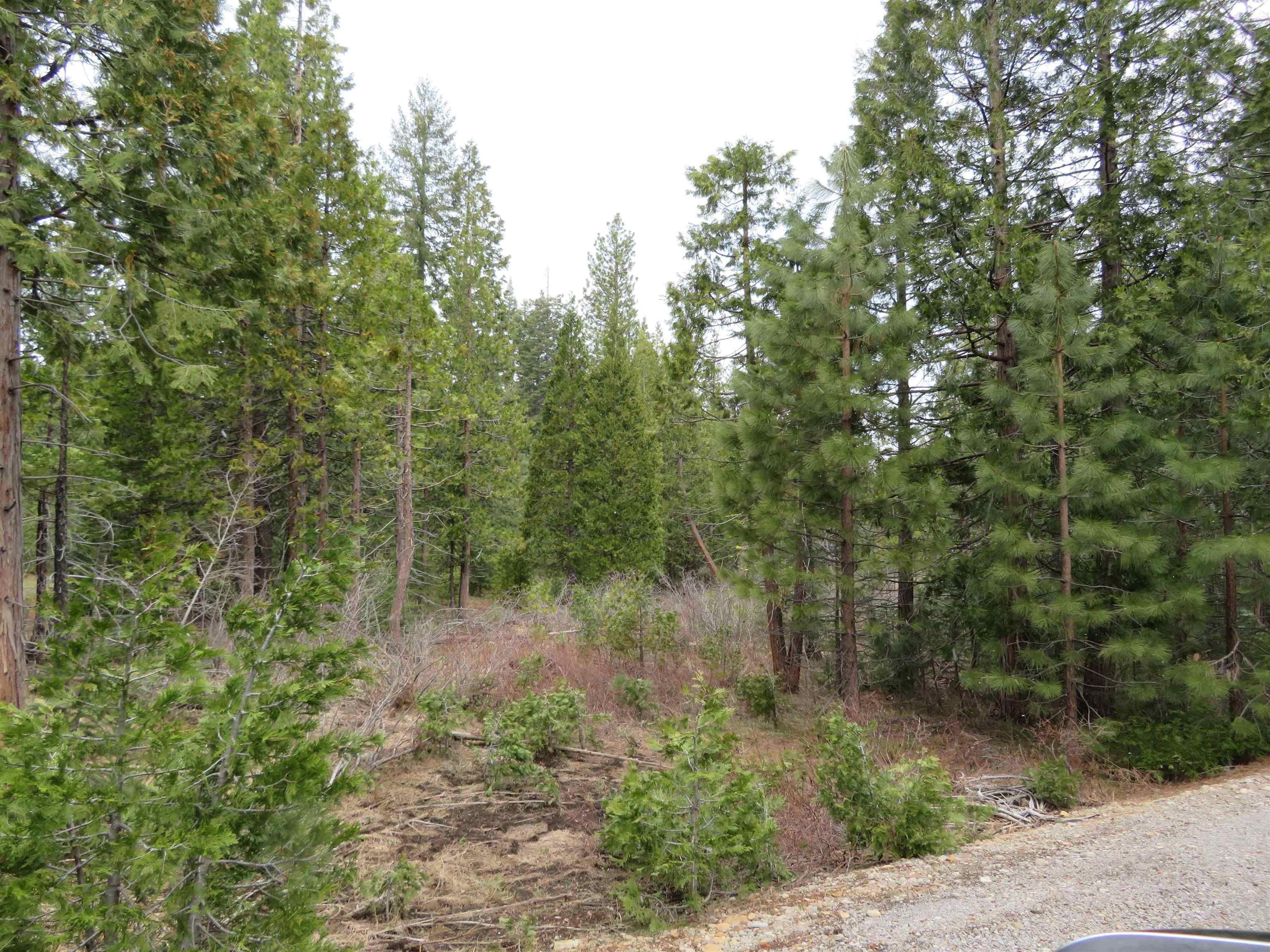 3 acres in Plumas County, California
