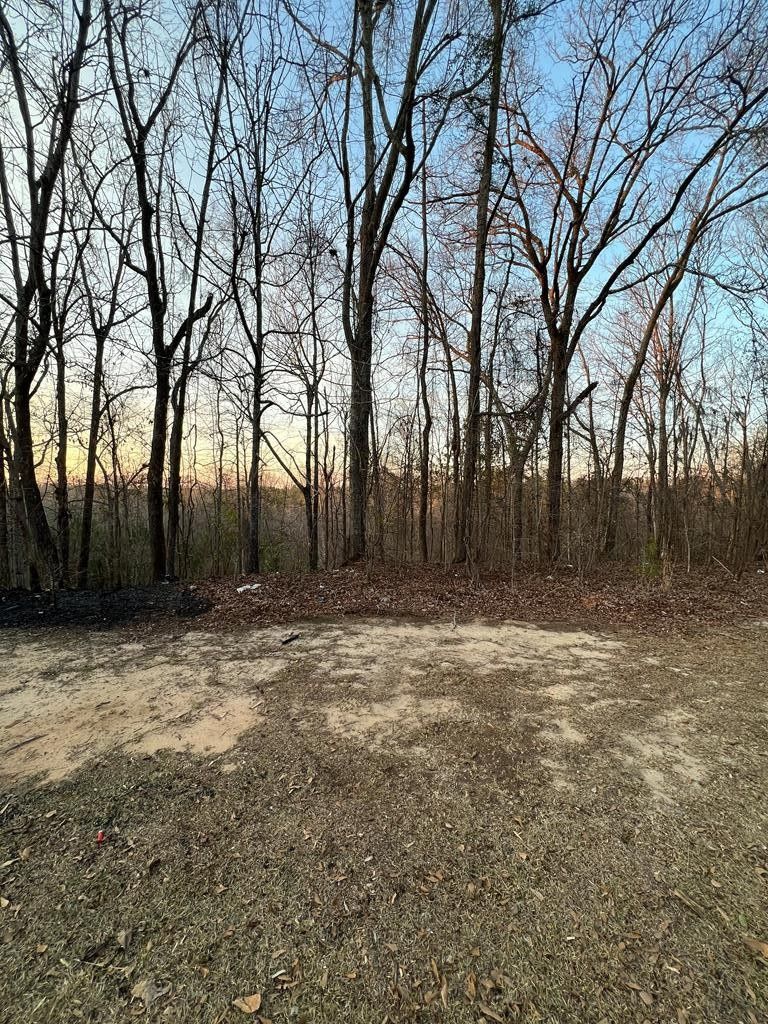 1 acres in Bullock County, Alabama