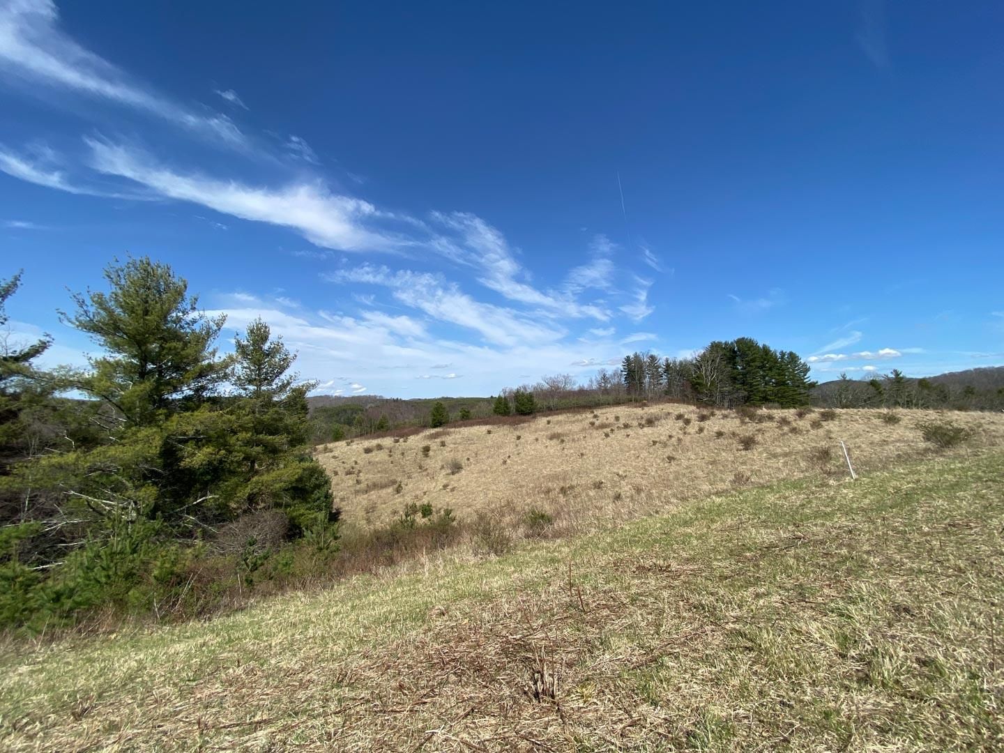4 acres in Alleghany County, North Carolina