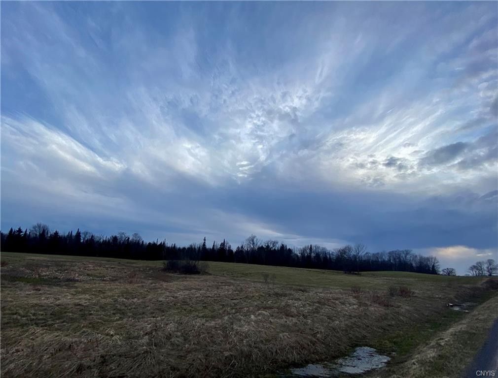 41 acres in Lewis County, New York