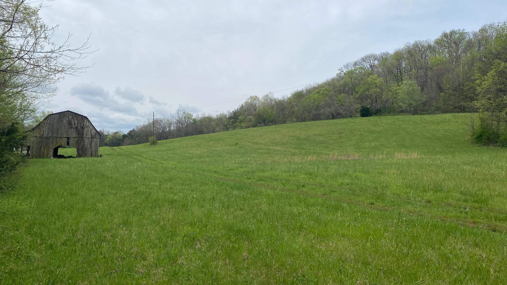 Massey Hollow Road, Kelso, TN 37348 MLS 1353392