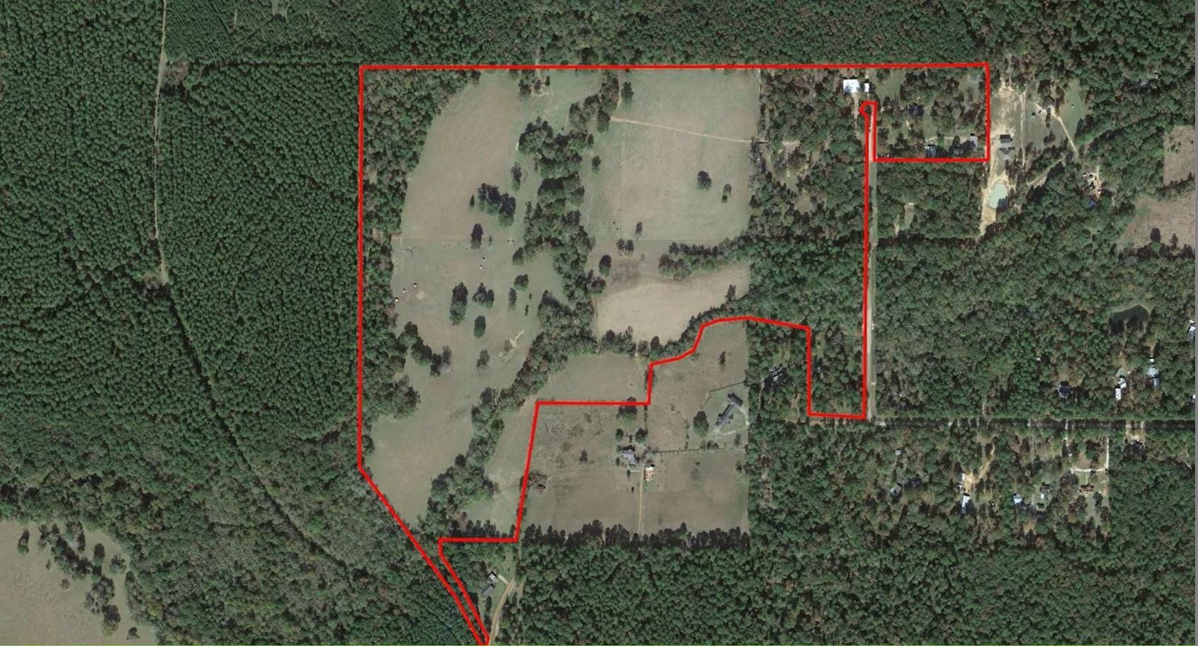 106 acres in San Jacinto County, Texas